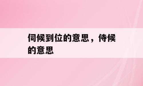 伺候到位的意思，侍候的意思