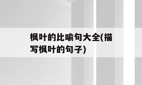 枫叶的比喻句大全(描写枫叶的句子)