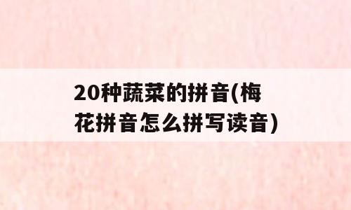 20种蔬菜的拼音(梅花拼音怎么拼写读音)