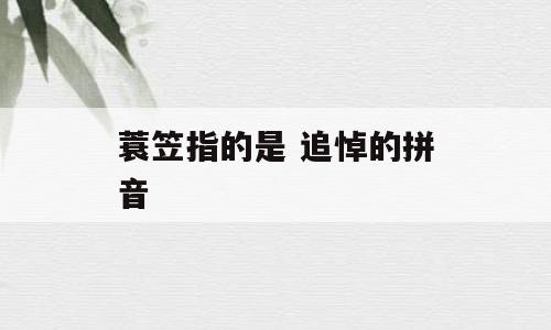 蓑笠指的是 追悼的拼音