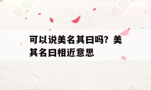 可以说美名其曰吗？美其名曰相近意思