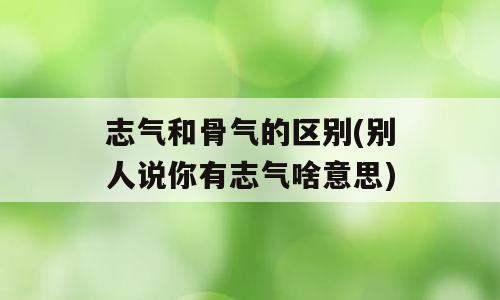 志气和骨气的区别(别人说你有志气啥意思)