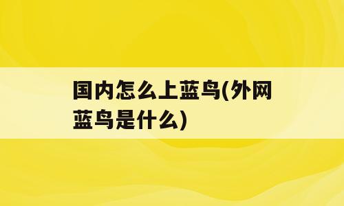 国内怎么上蓝鸟(外网蓝鸟是什么)