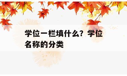 学位一栏填什么？学位名称的分类