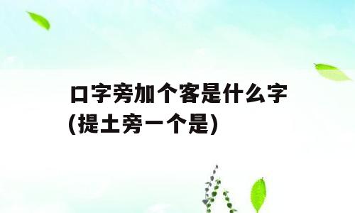 口字旁加个客是什么字(提土旁一个是)