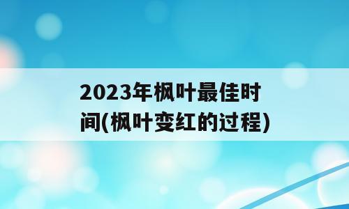 2023年枫叶最佳时间(枫叶变红的过程)