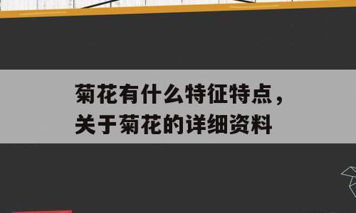 菊花有什么特征特点，关于菊花的详细资料