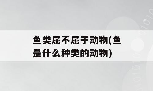 鱼类属不属于动物(鱼是什么种类的动物)