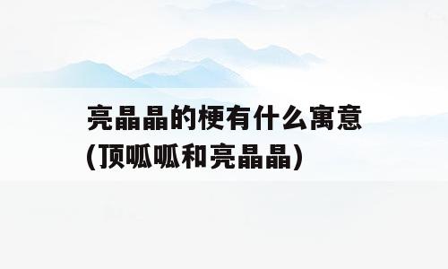 亮晶晶的梗有什么寓意(顶呱呱和亮晶晶)