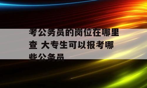 考公务员的岗位在哪里查 大专生可以报考哪些公务员