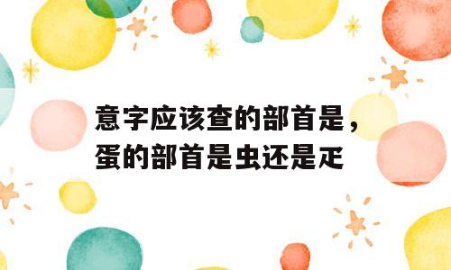 意字应该查的部首是，蛋的部首是虫还是疋