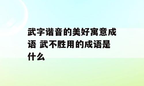 武字谐音的美好寓意成语 武不胜用的成语是什么