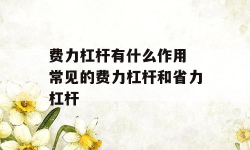 费力杠杆有什么作用 常见的费力杠杆和省力杠杆