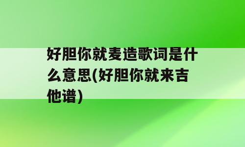 好胆你就麦造歌词是什么意思(好胆你就来吉他谱)