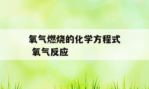 氧气燃烧的化学方程式 氧气反应