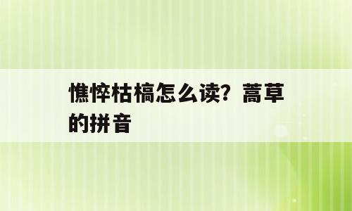 憔悴枯槁怎么读？蒿草的拼音