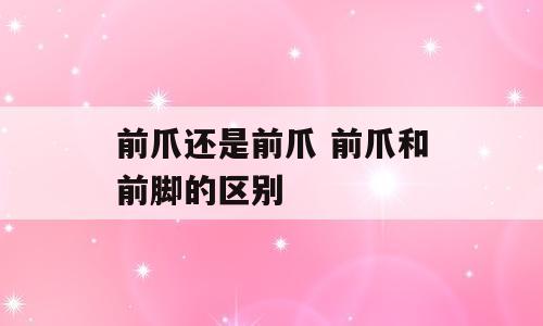 前爪还是前爪 前爪和前脚的区别