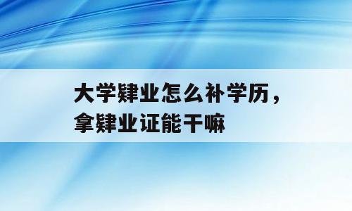 大学肄业怎么补学历，拿肄业证能干嘛