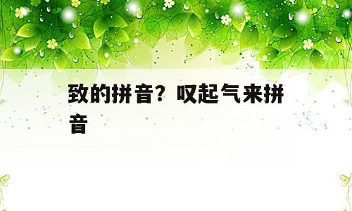 致的拼音？叹起气来拼音