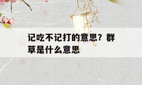 记吃不记打的意思？群草是什么意思