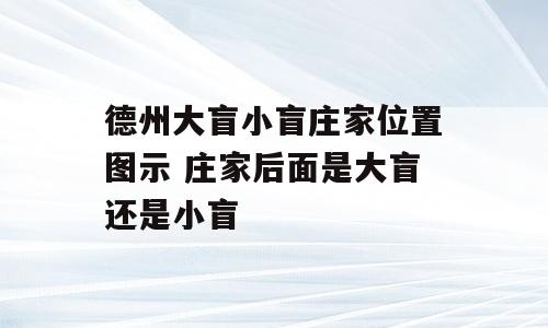 德州大盲小盲庄家位置图示 庄家后面是大盲还是小盲