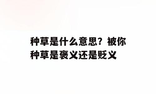 种草是什么意思？被你种草是褒义还是贬义