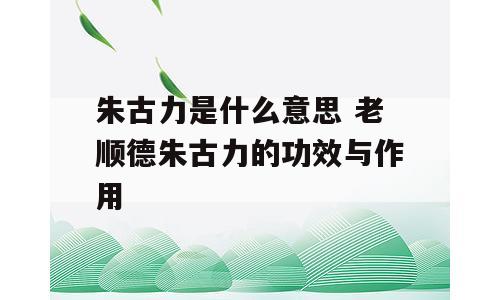 朱古力是什么意思 老顺德朱古力的功效与作用