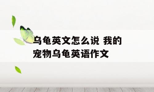 乌龟英文怎么说 我的宠物乌龟英语作文