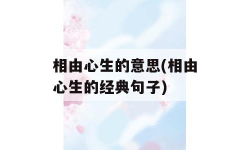 相由心生的意思(相由心生的经典句子)