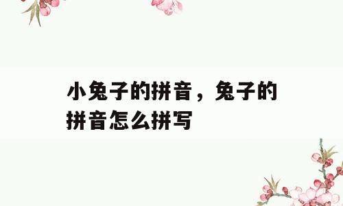 小兔子的拼音，兔子的拼音怎么拼写