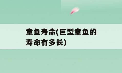 章鱼寿命(巨型章鱼的寿命有多长)