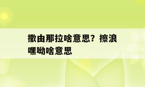 撒由那拉啥意思？擦浪嘿呦啥意思
