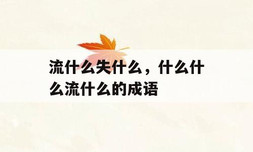 流什么失什么，什么什么流什么的成语