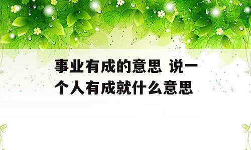事业有成的意思 说一个人有成就什么意思