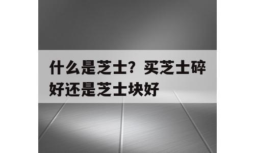 什么是芝士？买芝士碎好还是芝士块好