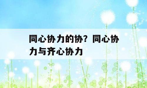同心协力的协？同心协力与齐心协力
