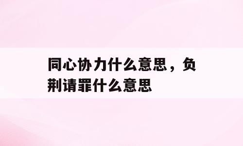 同心协力什么意思，负荆请罪什么意思