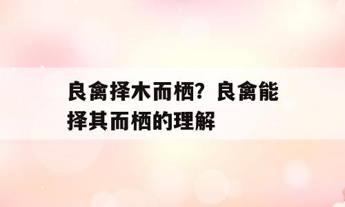 良禽择木而栖？良禽能择其而栖的理解
