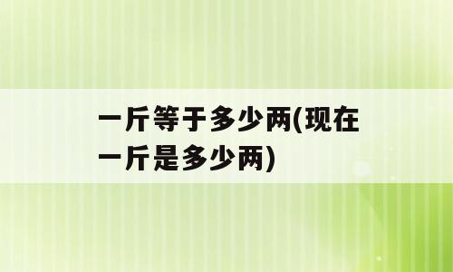 一斤等于多少两(现在一斤是多少两)