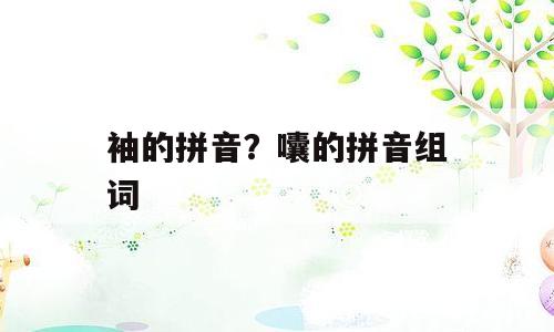 袖的拼音？囔的拼音组词