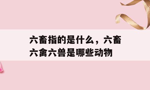 六畜指的是什么，六畜六禽六兽是哪些动物