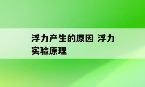 浮力产生的原因 浮力实验原理