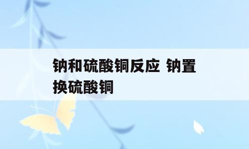 钠和硫酸铜反应 钠置换硫酸铜