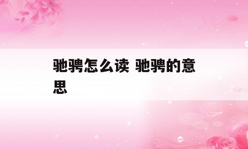 驰骋怎么读 驰骋的意思