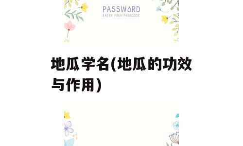 地瓜学名(地瓜的功效与作用)