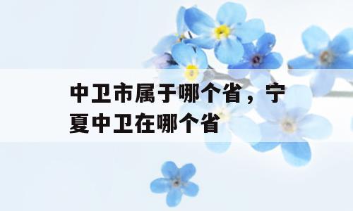中卫市属于哪个省，宁夏中卫在哪个省
