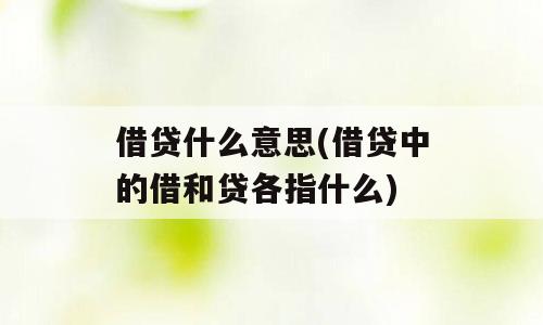 借贷什么意思(借贷中的借和贷各指什么)
