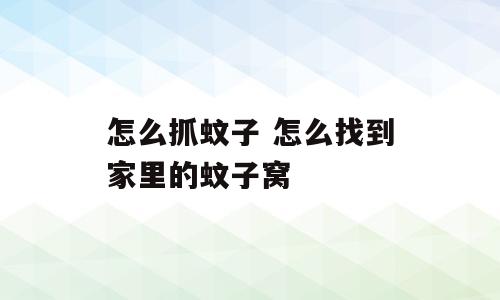 怎么抓蚊子 怎么找到家里的蚊子窝