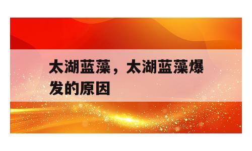 太湖蓝藻，太湖蓝藻爆发的原因