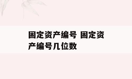 固定资产编号 固定资产编号几位数